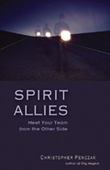 Spirit Allies: Meet Your Team from the Other Side