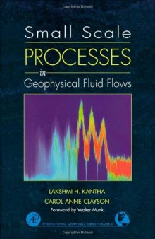 Small Scale Processes in Geophysical Fluid Flows