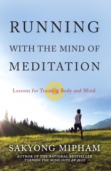Running With the Mind of Meditation