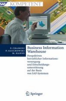 Business Information Warehouse: Perspektiven betrieblicher Informationsversorgung und Entscheidungsunterstützung auf der Basis von SAP-Systemen