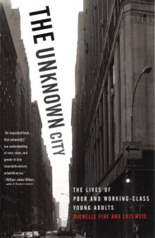 The Unknown City : Lives of Poor and Working-class Young Adults