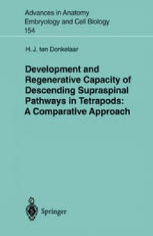 Development and Regenerative Capacity of Descending Supraspinal Pathways in Tetrapods: A Comparative Approach