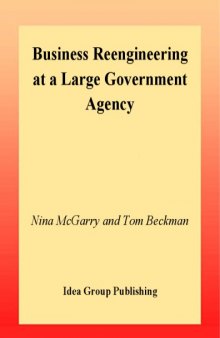 Business Reengineering at a Large Government Agency