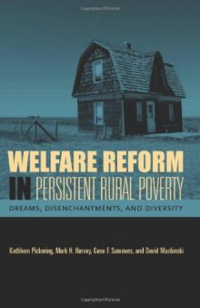 Welfare Reform in Persistent Rural Poverty: Dreams, Disenchantments, And Diversity (Rural Studies)