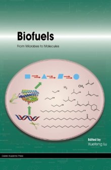 Biofuels: From Microbes to Molecules