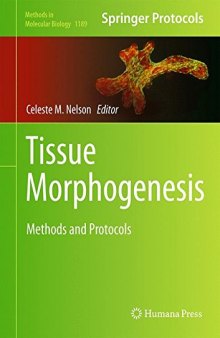 Tissue Morphogenesis: Methods and Protocols
