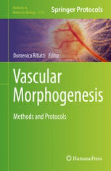 Vascular Morphogenesis: Methods and Protocols
