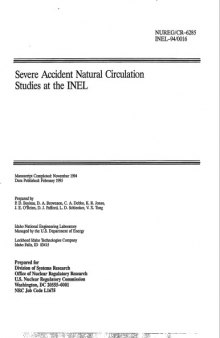 Severe accident natural circulation studies at the INEL