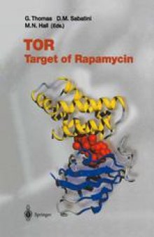 TOR: Target of Rapamycin