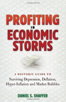 Profiting in economic storms : a historic guide to surviving depression, deflation, hyperinflation, and market bubbles