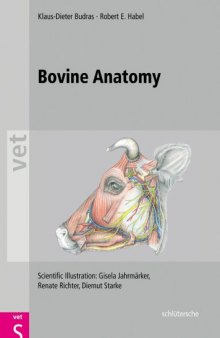 Bovine Anatomy: An Illustrated Text  