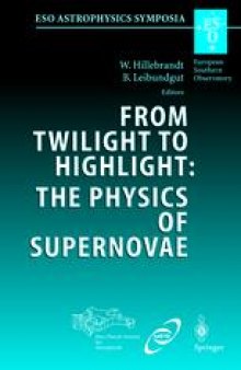 From Twilight to Highlight: The Physics of Supernovae: Proceedings of the ESO/MPA/MPE Workshop Held at Garching, Germany, 29-31 Juli 2002