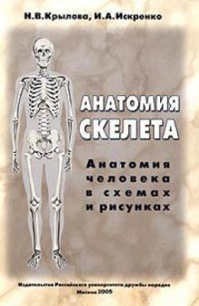 Анатомия скелета. Анатомия человека в схемах и рисунках. Атлас-пособие