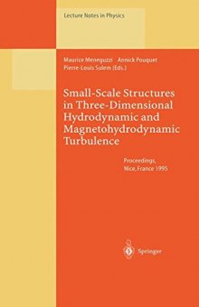 Small-Scale Structures in Three-Dimensional Hydrodynamic and Magnetohydrodynamic Turbulence: Proceedings of a Workshop Held at Nice, France, 10 - 13 January 1995
