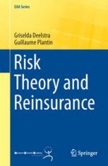 Risk Theory and Reinsurance