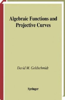 Algebraic Functions and Projective Curves