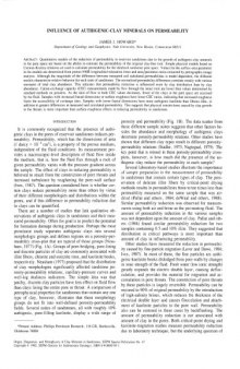 INFLUENCE OF AUTHIGENIC CLAY MINERALS ON PERMEABILITY