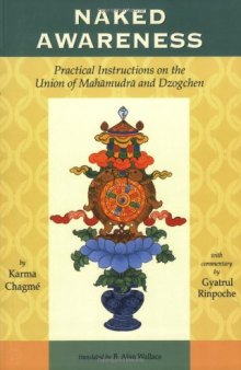 Naked Awareness: Practical Instructions on the Union of Mahamudra and Dzogchen