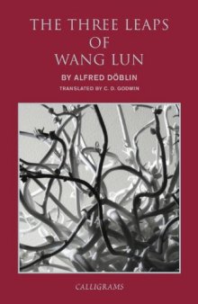The three leaps of Wang Lun : a Chinese novel