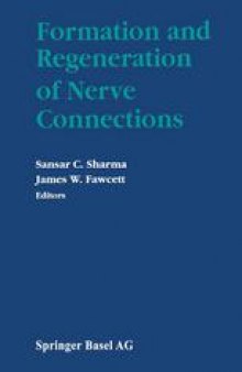 Formation and Regeneration of Nerve Connections