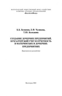 Создание дочерних предприятий. Бухгалтерский учет и отчетность в материнских и дочерних предприятиях: Практическое руководство