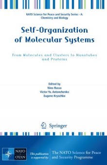 Self-Organization of Molecular Systems: From Molecules and Clusters to Nanotubes and Proteins (NATO Science for Peace and Security Series A: Chemistry and Biology)