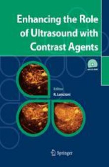 Enhancing the Role of Ultrasound with Contrast Agents