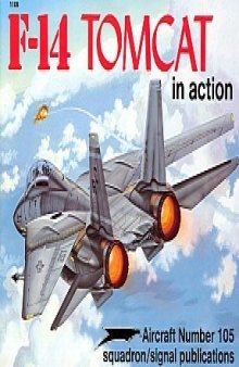 F-14 Tomcat in action