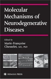 Molecular Mechanisms of Neurodegenerative Diseases 