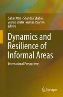 Dynamics and Resilience of Informal Areas: International Perspectives