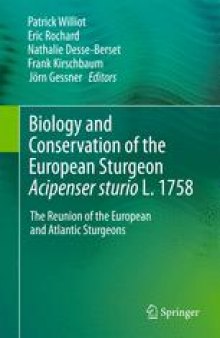 Biology and Conservation of the European SturgeonAcipenser sturioL. 1758: The Reunion of the European and Atlantic Sturgeons