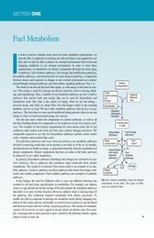 Marks' Basic Medical Biochemistry - A Clinical Approach