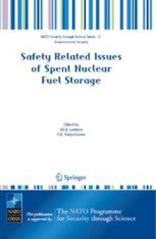 Safety Related Issues of Spent Nuclear Fuel Storage: Strategies For Safe Storage Of Spent Fuel