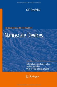 Nanoscale devices: fabrication, functionalization, and accessibility from the macroscopic world