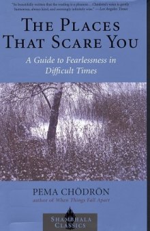 The Places that Scare You: A Guide to Fearlessness in Difficult Times  