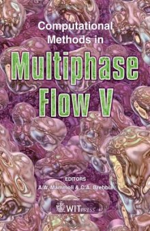 Computational Methods in Multiphase Flow V (WIT Transactions on the Engineering Sciences) (Wit Transactions on Engineering Sciences)