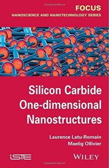 Silicon Carbide One-dimensional Nanostructures