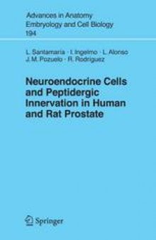 Neuroendocrine Cells and Peptidergic Innervation in Human and Rat Prostate