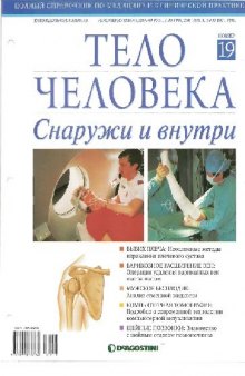 Тело человека. Снаружи и внутри 19