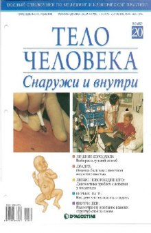 Тело человека. Снаружи и внутри 20