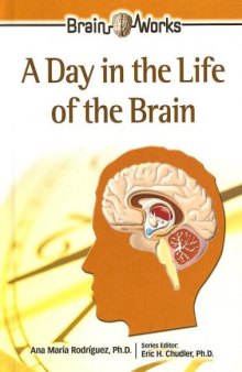 A Day in the Life of the Brain (Brain Works)