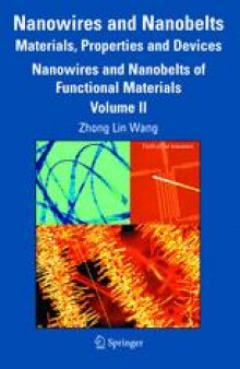 Nanowires and Nanobelts:  Materials, Properties and Devices Volume 2: Nanowires and Nanobelts of Functional Materials