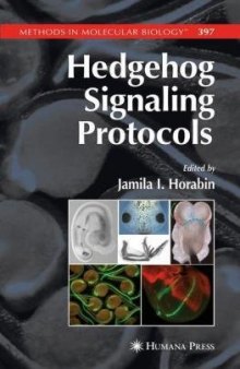Hedgehog Signaling Protocols (Methods in Molecular Biology Vol 397)  