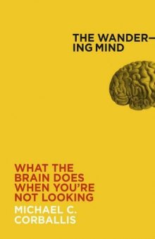 The Wandering Mind: What the Brain Does When You're Not Looking