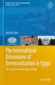 The International Dimensions of Democratization in Egypt: The Limits of Externally-Induced Change