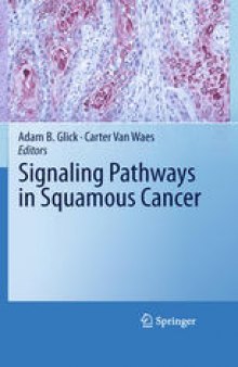 Signaling Pathways in Squamous Cancer