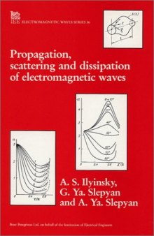 Propagation, scattering, and dissipation of electromagnetic waves