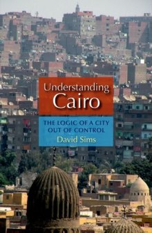 Understanding Cairo: The Logic of a City Out of Control  