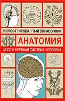 Анатомия. Иллюстрированный справочник. Мозг и нервная система человека