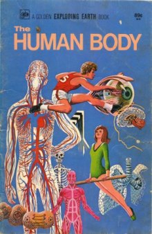 The human body. A golden exploring earth book